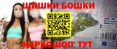 МДПВ Будённовск