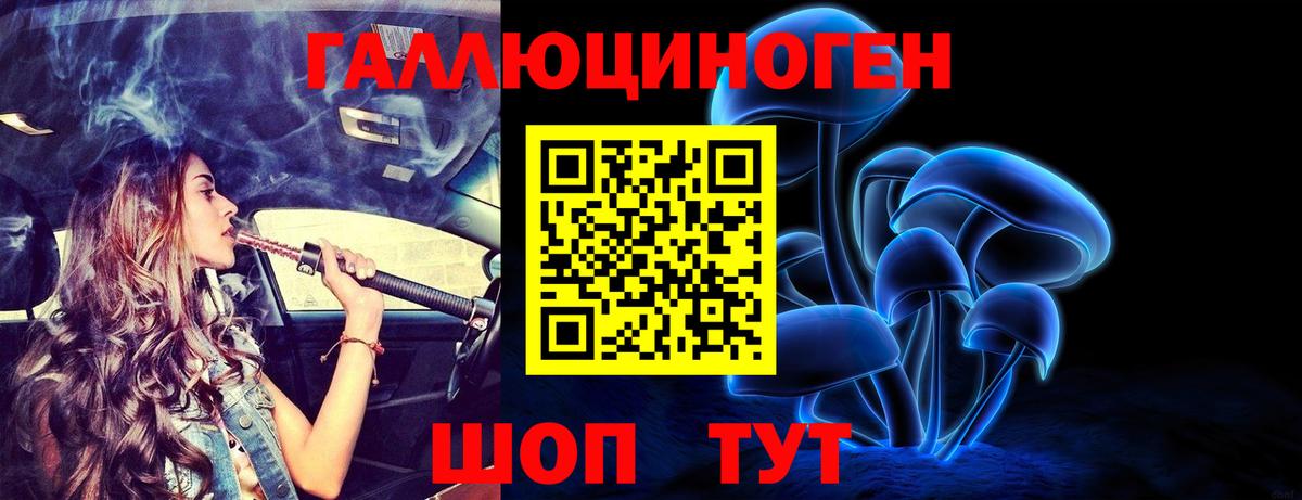 Галлюциногенные грибы Psilocybe  Вход с VPN  Псилоцибиновые грибы мухоморы  Муравленко 