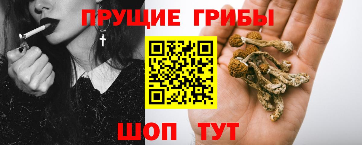 Галлюциногенные грибы мицелий Муравленко